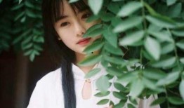 吃瓜少女魏淑帝免费阅读